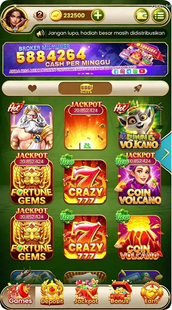 raden4d APK